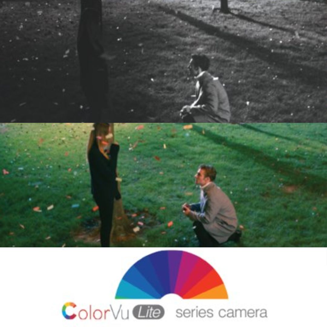 HiLook IPC-T249HA 4MP Wired PoE Security Camera | Smart AI Person/Vehicle Notifications, IP67, Spotlight Night Vision