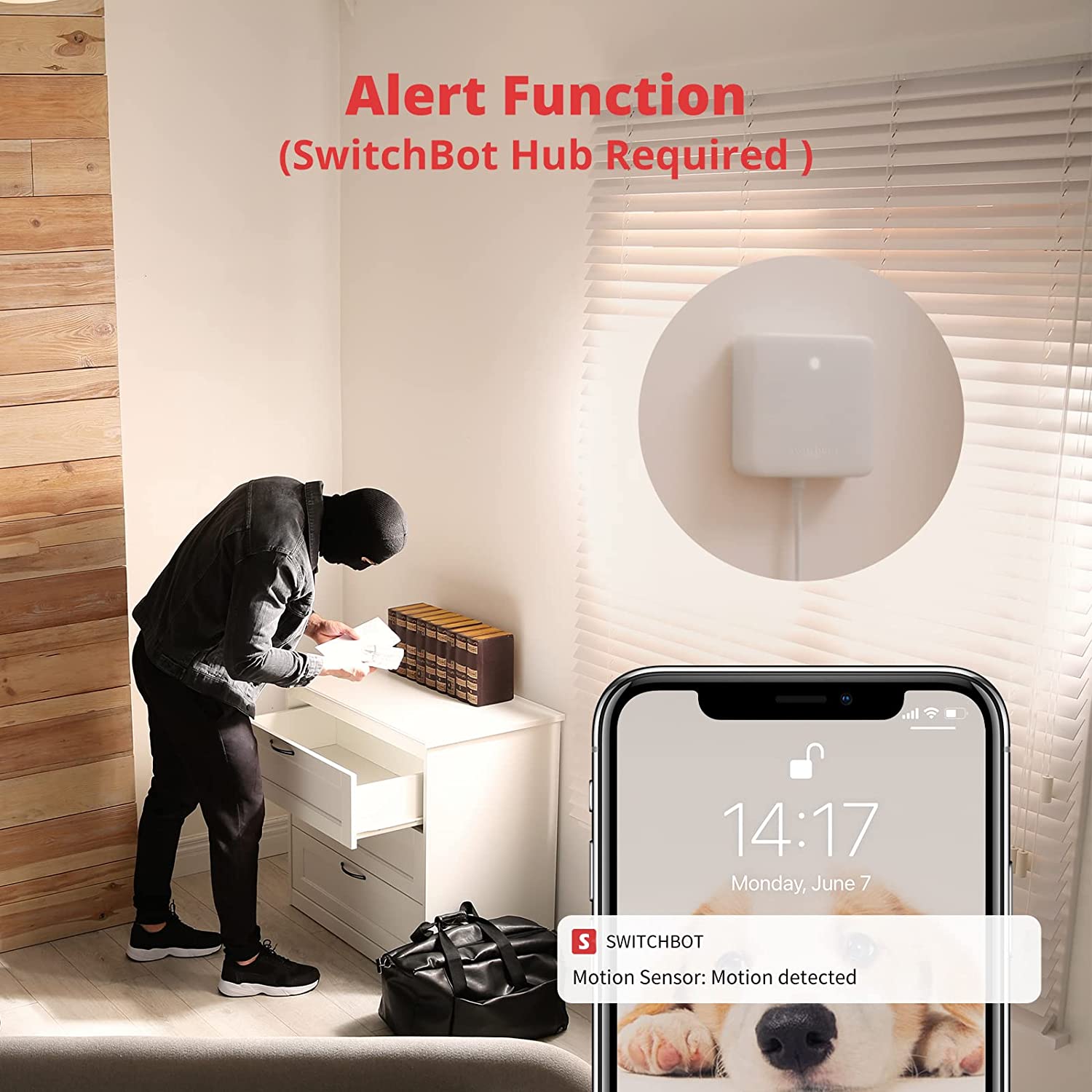 SwitchBot Motion Sensor | Wireless Home Security System, PIR Motion Detector Alert, Add SwitchBot Hub Mini to Make it Compatible with Alexa