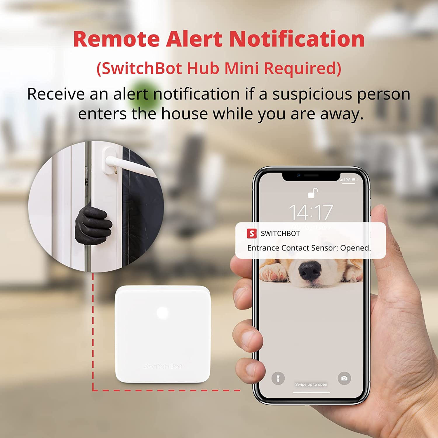 SwitchBot Contact Sensor | Smart Home Security Wireless Window Alarm and Door Sensor, Add SwitchBot Hub Mini to Make it Compatible with Alexa